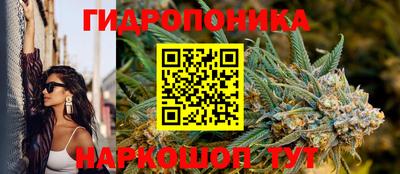 дмт Будённовск