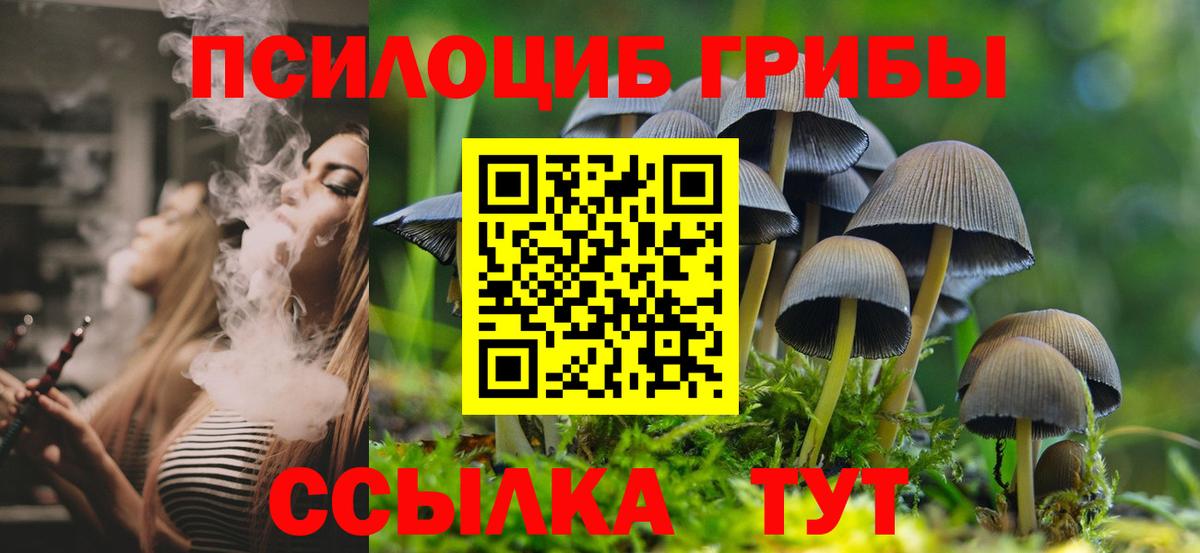 Галлюциногенные грибы мухоморы  Вход с VPN  Псилоцибиновые грибы Cubensis  Королёв 