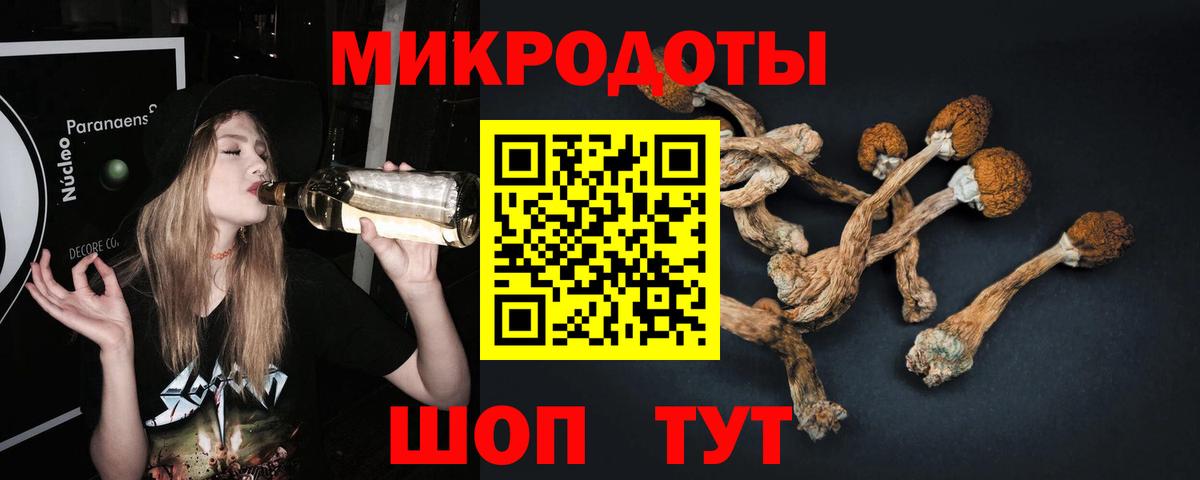 Псилоцибиновые грибы Cubensis Королёв